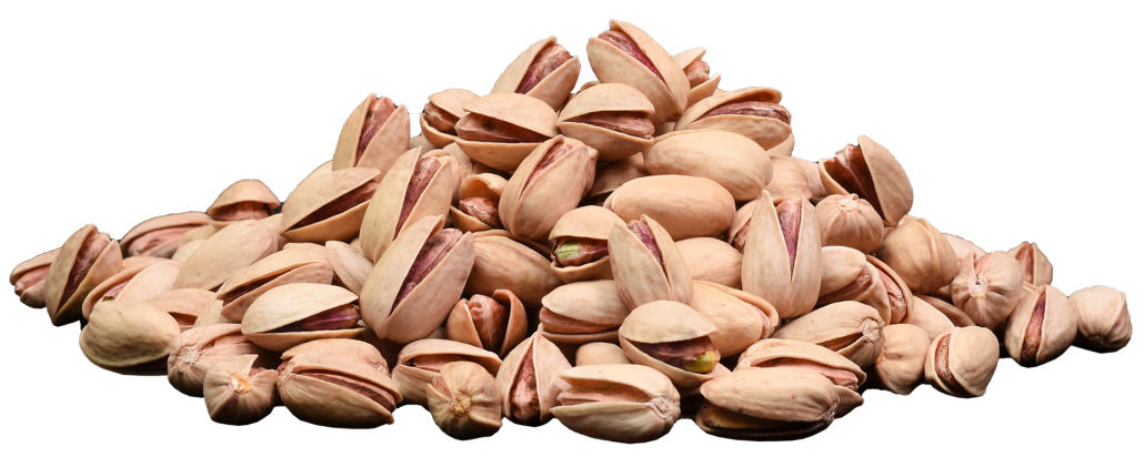 Iranian Pistachios Akbari پسته اکبری