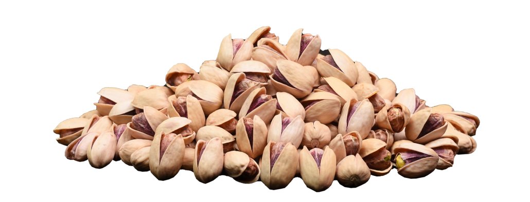 Kalleh-Ghouchi Pistachios