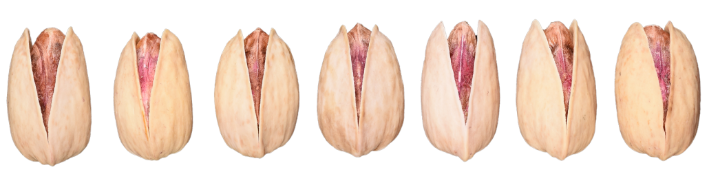 Iranian Pistachios Akbari پسته اکبری