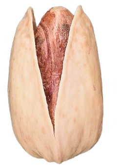 Iranian Pistachios Akbari پسته اکبری
