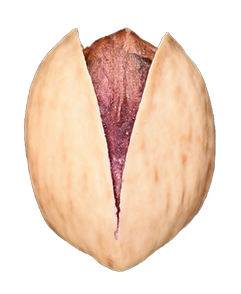 Fandoghi Iranian Pistachios