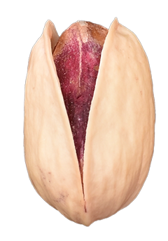 Ahmad Aghaei pistachios