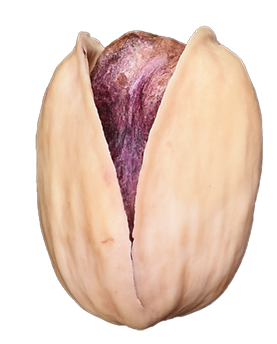 Kalleh-Ghouchi Pistachios