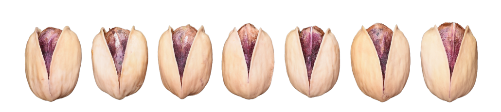 Kalleh-Ghouchi Pistachios
